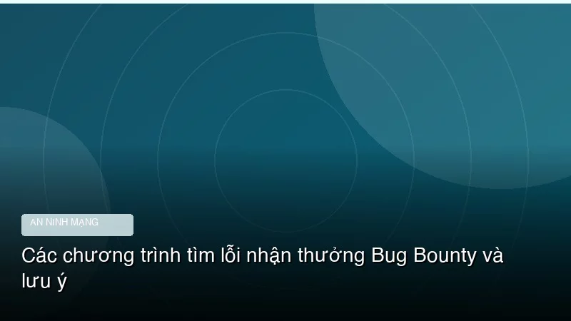 Các chương trình tìm lỗi nhận thưởng Bug Bounty và lưu ý