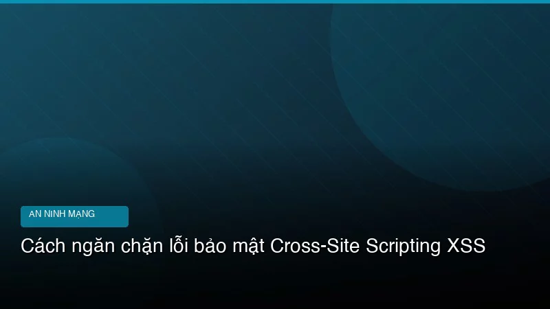 Cách ngăn chặn lỗi bảo mật Cross-Site Scripting XSS