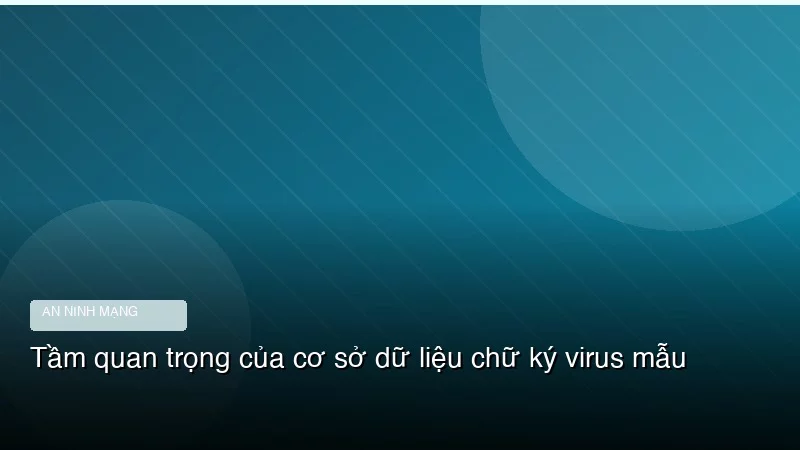 Tầm quan trọng của cơ sở dữ liệu chữ ký virus mẫu